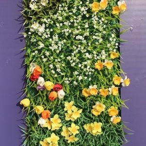 Meet your Posher, Salcie